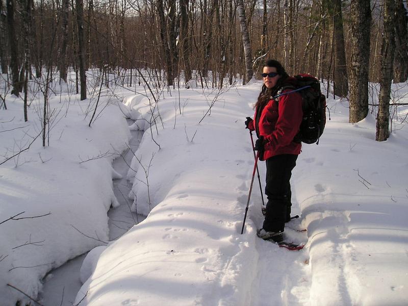 Stinson (23).JPG - Near the end of the trail we came across a frozen stream, which was quite scenic. At the end of the day we hiked the 4 miles in about 3.5 hours, including all our stops. This is an easy little mountain to climb and would make a great hike for a person new to snowshoeing.